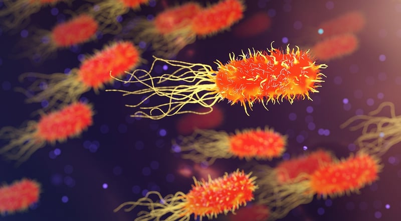 Nanobots
